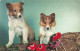 ANIMAUX & FAUNE - Chien - Fleurs - Carte Postale Ancienne - Chiens