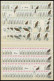 ENGROS 754-57 , 1973, Vögel, 120 Postfrische Sätze, Fast Nur Pracht, Mi. 960.- - Sonstige & Ohne Zuordnung