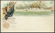 GANZSACHEN 1893, WORLD`S COLUMBIAN EXPOSITION, 11 Verschiedene Ungebrauchte 1 C. Postal Cards Der Serie Goldsmith, Prach - Sammlungen