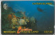 PHONE CARD -CAYMAN (E41.39.8 - Kaimaninseln (Cayman I.)