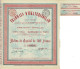 - Titre De 1897 - Tramways D' Iekaterinoslaw - N° 18419 - Chemin De Fer & Tramway