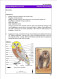 Delcampe - OWLS - RAPTORS- BIRDS OF PREY-"THE PARLIAMENT" - GALLERY OF OWLS ON STAMPS- EBOOK-PDF- DOWNLOADABLE-372 PAGES - Fauna