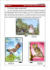 Delcampe - OWLS - RAPTORS- BIRDS OF PREY-"THE PARLIAMENT" - GALLERY OF OWLS ON STAMPS- EBOOK-PDF- DOWNLOADABLE-372 PAGES - Wildlife