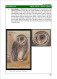 Delcampe - OWLS - RAPTORS- BIRDS OF PREY-"THE PARLIAMENT" - GALLERY OF OWLS ON STAMPS- EBOOK-PDF- DOWNLOADABLE-372 PAGES - Vida Salvaje