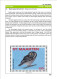 Delcampe - OWLS - RAPTORS- BIRDS OF PREY-"THE PARLIAMENT" - GALLERY OF OWLS ON STAMPS- EBOOK-PDF- DOWNLOADABLE-372 PAGES - Vie Sauvage