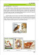 Delcampe - OWLS - RAPTORS- BIRDS OF PREY-"THE PARLIAMENT" - GALLERY OF OWLS ON STAMPS- EBOOK-PDF- DOWNLOADABLE-372 PAGES - Vida Salvaje