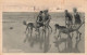 JEUX - La Brouette Vivante - Personnes S'amusant à La Plage - Carte Postale Ancienne - Otros & Sin Clasificación