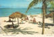 BAHAMAS - PICTURE POSTCARD 1981 - BERLIN /1374 - Bahamas (1973-...)