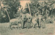 ANIMAUX - Ceyton - Eléphants - Carte Postale Ancienne - Elephants