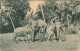 ANIMAUX - Ceyton - Eléphants - Carte Postale Ancienne - Elefanti