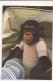 FA41 - Postcard - GERMANY - Baby Cimp, Uncirculated - Singes