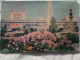 3d 3 D Lenticular Postcard Stereo Mansudae Art Theate    North Korea   A 227 - Stereoscopische Kaarten