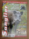 Delcampe - LOT DE 10 REVUES LE CHASSEUR DE SANGLIER 2011 CHASSE N° 167 à 178 - Caccia/Pesca