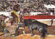 AK 188179 BULL / STIER - Une Bonne Pique - Bull