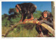 AK 188281 APE / MONKEY / AFFE ... - Junge Schimpansen - Singes