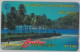 PHONE CARD-ST VINCENT THE GRENADINES (E47.25.4 - St. Vincent & The Grenadines