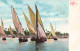 EGYPTE - Caire - Barques Sur Le Nil - Palmiers  - Carte Postale - Le Caire