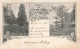 BELGIQUE - Fayt Manage - Parc De Notre Dame Du Travail - Allée De L'Ange Gardien De Grand Cève - Carte Postale Ancienne - Manage