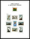 T.A.A.F. 1948-2008, Poste, PA, Blocs: Collection Quasi Complète Présentée En Album DAVO Dont Toutes Les Bonnes Valeurs ( - Collections