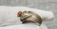 Delcampe - Antique Vintage Silver Ring With Stone 1920 - Bagues