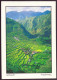 PHILIPPINES BANAUE 12 X 17 CM - Philippines