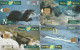 PHONE CARD 4 SPAGNA FAUNA (CK984 - Commemorative Advertisment