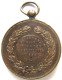 Médaille Léopold II. Prijskamp Voor Paarden 1898 Langemarck, Prix Chevaux - Autres & Non Classés
