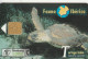 PHONE CARD SPAGNA FAUNA IBERICA (CK7203 - Basisausgaben