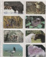 LOT 8 PHONE CARDS POLONIA (PV17 - Pologne