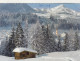 E682) Wintersportplatz FIEBERBRUNN Gegen Kitzbüheler Horn - Holzhütte Im Vordergrund U. Blick Auf Kirche - Fieberbrunn