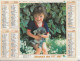 Calendrier-Almanach Des P.T.T 1987-Fillette Et Chaton-Chien Des Pyrénées -OLLER Département AIN-01-Référence 436 - Grand Format : 1981-90