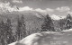 E756) Blick Vom SKIHANG I. WEIDACH - LEUTASCH In Tirol - Stark Verschneite Ansicht ALT - Leutasch