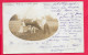 Cpa,  Lot 2 Cartes Photos,  Famille, Enfants, Vaches, Dos SIMPLE Voir Scanne Voyagée1903 LA FERME - Gruppen Von Kindern Und Familien