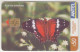 URUGUAY - Anartia Amathea (Butterfly), TC 285a, Chip: GEM5 (Red), 50 $ , Tirage 100.000, Used - Uruguay