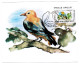 TURKISH CYPRUS CARD MAXIMUM - BIRDS - Colecciones & Series
