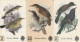 3 PREPAID PHONE CARDS UCCELLI (CV5576 - Pájaros Cantores (Passeri)