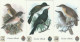 3 PREPAID PHONE CARDS UCCELLI (CV5575 - Songbirds & Tree Dwellers