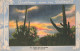 USA Sunset On The Desert CPA Sahuaro Cactus - Los Angeles