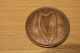 Ireland 1 Penny 1937 Irlanda Irlande Ierland Eire Halfpenny - Ireland