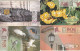 4 PHONE CARDS UNGHERIA (PY2635 - Hungary