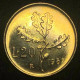 Italia 20 Lire, 1982 (FDC) - 20 Lire