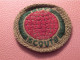 Scoutisme Canada/ Ecusson  Tissu/ Insigne De Mérite/ Mappemonde ?  /année 1940-1960                  ET587 - Padvinderij