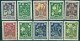 1948 Tuberculosis,Medicinal Plant,violet,crocus,gentian,Edelweiss,Austria,868,MNH - Heilpflanzen