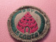Scoutisme Canada/ Ecusson  Tissu/ Insigne De Mérite/Tente Ou Ruche ?  /année 1940-1960                  ET603 - Movimiento Scout