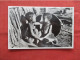 RPPC Darby & Joan.     Ref 6279 - Afrique