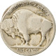 Monnaie, États-Unis, Buffalo Nickel, 5 Cents, Date Incertaine, U.S. Mint - 1913-1938: Buffalo