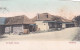 482391Wynberg, Old Dutch Houses. (postmark 1905)(top Is Cut Off) - Afrique Du Sud
