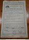 1892/1950 LOTTO DI MODULISTICA POLIZZE ASSICURAZIONE - BOLOGNA ZONE LIMITROFE - Banque & Assurance