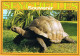 53272. Postal Aerea VICTORIA MAHE (Seychelles) 2009. Tortuga, Turtle - Seychelles (1976-...)