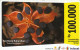 Indonesia, Indosat, Tropical Flower - Indonesia